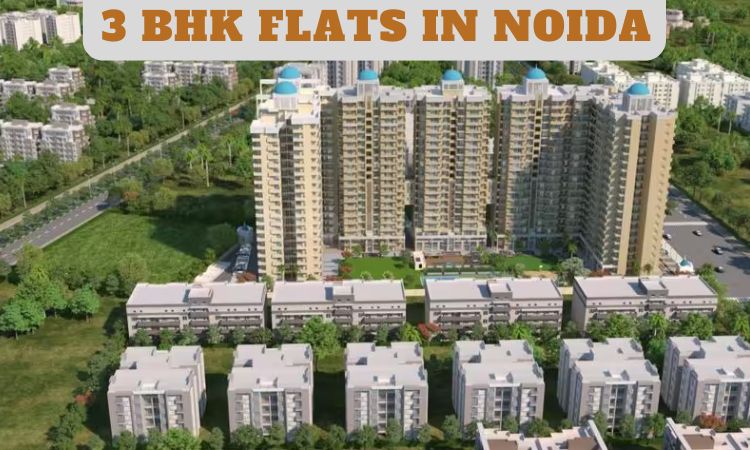 3 BHK flats in Noida