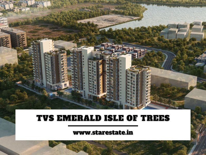 TVS Emerald Isle of Trees