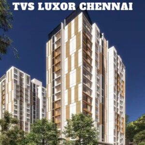 TVS Emerald Luxor Chennai