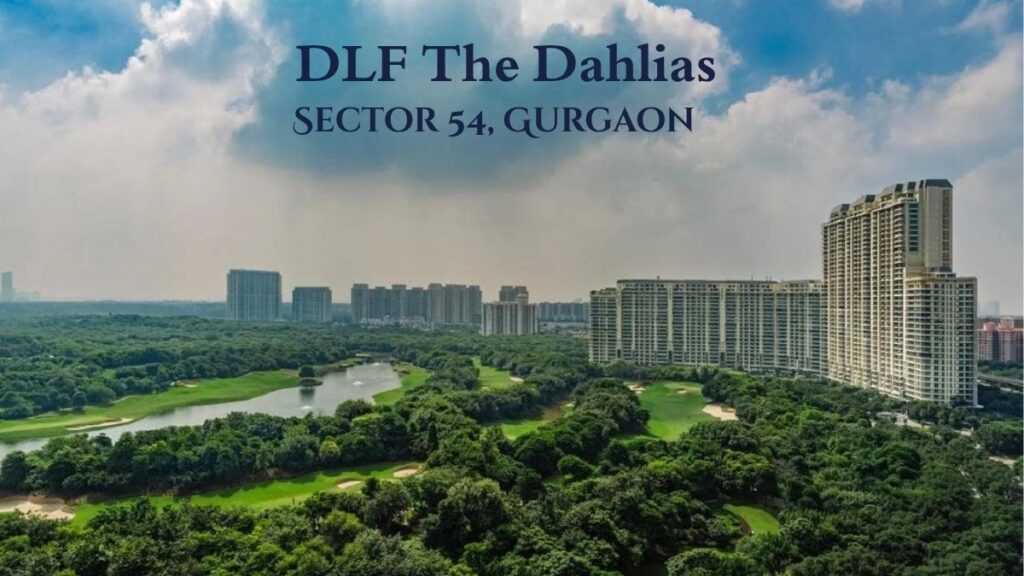 DLF The Dahlias
