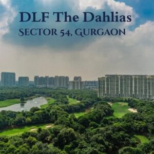 DLF The Dahlias