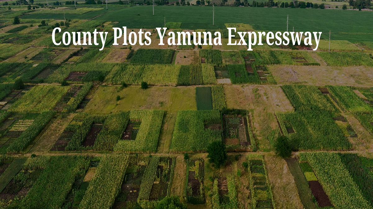 County Plots Yamuna Expressway