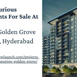 Prestige Golden​‍​‌‍​‍‌​‍​‌‍​‍‌ Grove