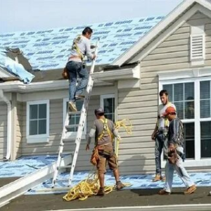 Expert Shingle Roof Repair Services in Dania Beach FL